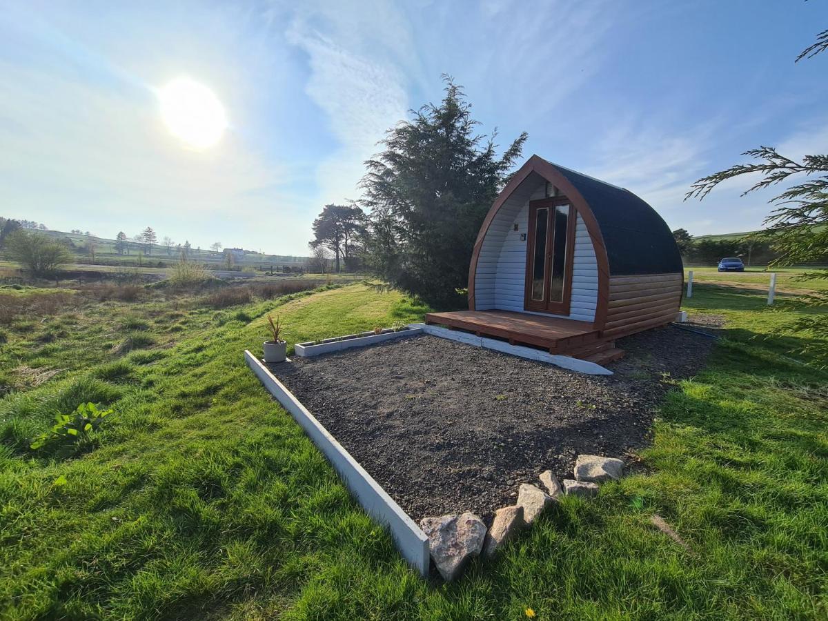 Hotel Delightful Camping Pod In Snowdonia, North Wales. Derwen Zewnętrze zdjęcie
