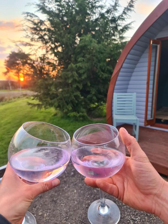 Hotel Delightful Camping Pod In Snowdonia, North Wales. Derwen Zewnętrze zdjęcie